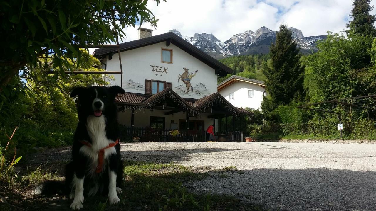 Bed and Breakfast Botton D'Oro Delle Dolomiti Ваттаро Экстерьер фото
